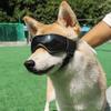 Hundebrille  ive Sonnenbrille   Haustierbrille für kleine und mittelgroße Hunde