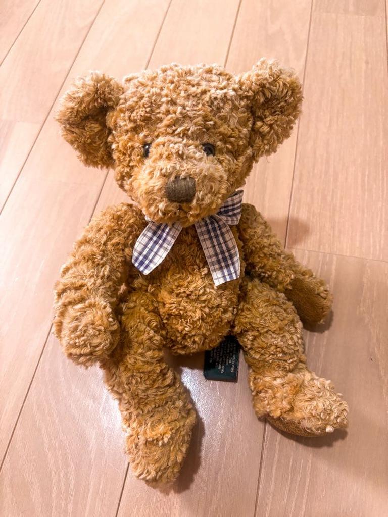 [USED] Teddy Bear Russ Berry