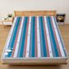 EU/UK Electric Heated Blanket - Single/Double Mattress Heating Pad (CE/ECM/LVD Certified)