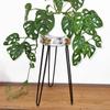 Plant Stand Whitewash Albasia Wood