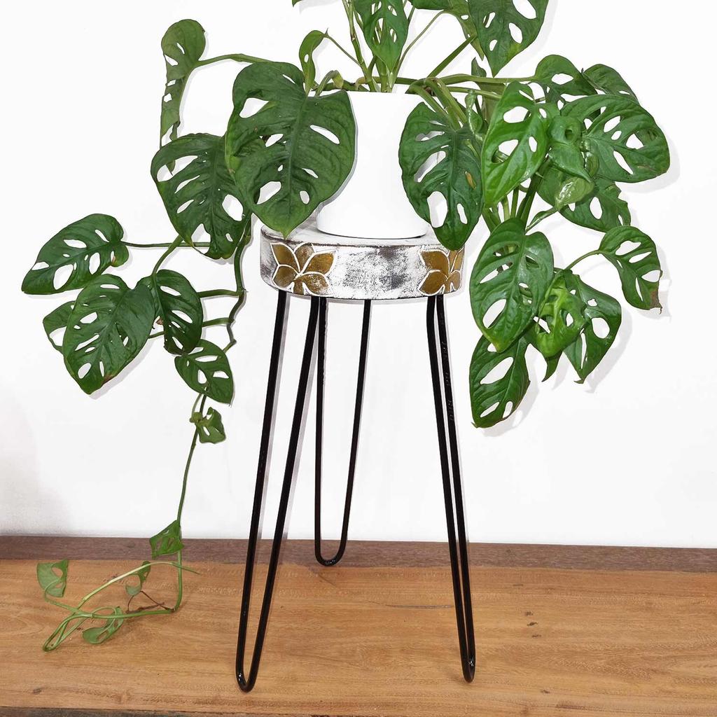 Plant Stand Whitewash Albasia Wood