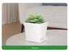 Exquisite Square Succulent Pots with Breathable Plastic Base for Office