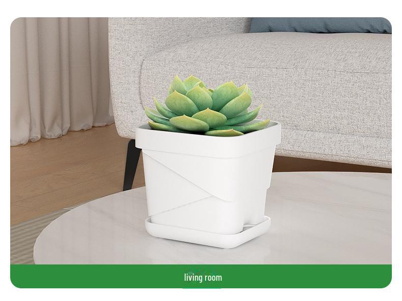 Exquisite Square Succulent Pots with Breathable Plastic Base for Office