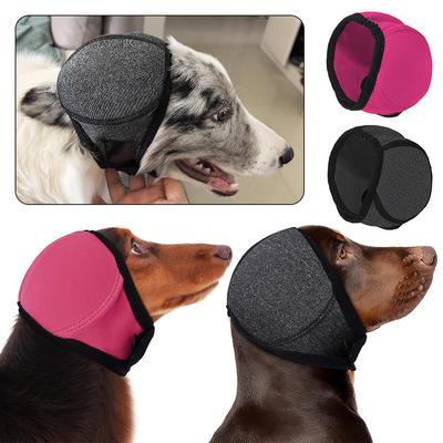 Ropa y calzado – Accesorios para perros