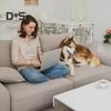 3 Pcs Couch Supports for Sagging Cushions High Density Repair Couch Supporter under the Cushions Restore Collapsed Sofas Support Plate