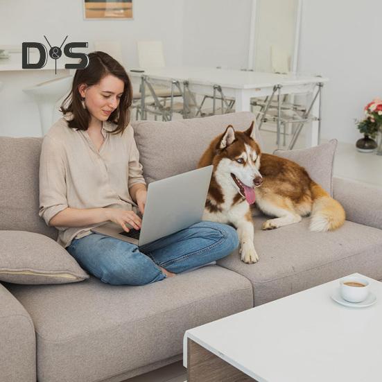 3 Pcs Couch Supports for Sagging Cushions High Density Repair Couch Supporter under the Cushions Restore Collapsed Sofas Support Plate