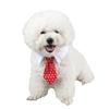 Cross-Border Foreign Trade Amazon Pet Cat Tie British Gentleman Wedding Bow Tie Accessories Cute Red Black