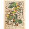 Garden Birds Prints On Old Antique Book Page Botanical Animals Poster and Prints Painting Wall Pictures Living Room Home Decor