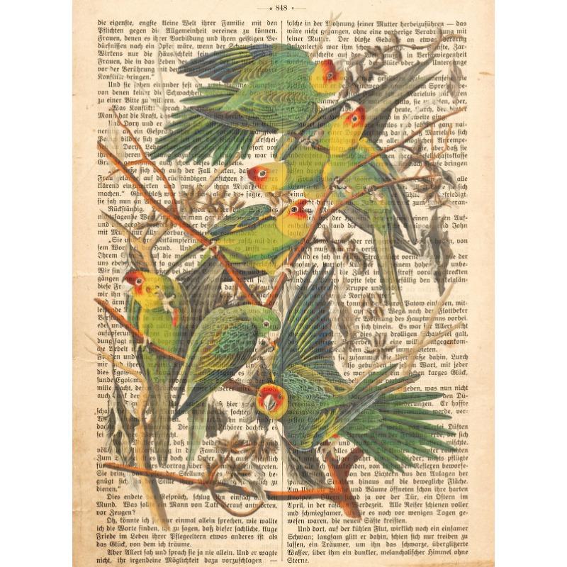 Garden Birds Prints On Old Antique Book Page Botanical Animals Poster and Prints Painting Wall Pictures Living Room Home Decor