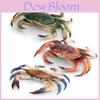 Marine Animal Crab Model For Kids Educational Decor Pvc Collectible Toy