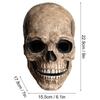 Skull Mask Breathable Latex Headgear Full Head Skull Helmet Non-Toxic Halloween Skull Mask For Outdoor Decorations Halloween