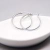 Classic European & American Versatile Stainless Steel Hoop Earrings for Women - Internet Celebrity Style