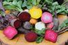 SAFLAX Garden In the Bag - Organic - Beetroot - Chioggia - 70 Seeds - With Substrate In a Fitting Stand Up Bag - Beta Vulgaris