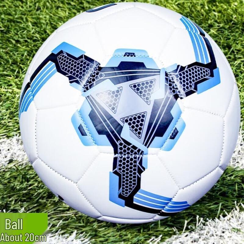 Longchan Adult Machine-Stitched Training Football