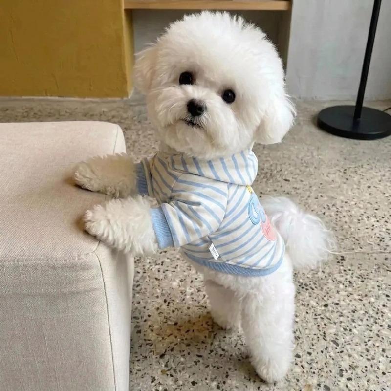 Kışlık Evcil Hayvan Kapüşonlusu, Karikatür Çizgili Fil Köpek Giysileri, Küçük ve Orta Boy Köpekler ve Maltese İçin Sıcak Sweatshirt