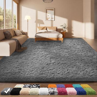 Shag Area Rugs for Living Room Upgrade Anti-Skid Rectangular Cozy Rug, Indoor Floor Carpet for Kids Boys Girls Dorm Bedroom Playroom Aesthetic