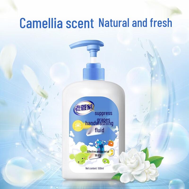 Laoguanjia Antibacterial Hand Wash - Camellia Scent (2 x 500ml)