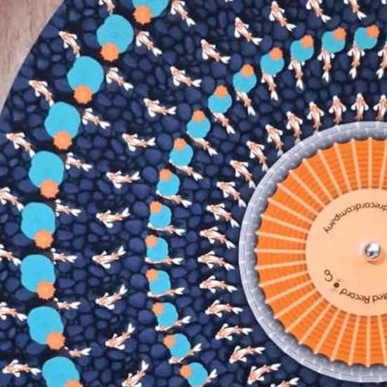 2/3 Peças Slipmat Animado Zoetrope 12 polegadas Ilusão Óptica Tapete de Toca-discos Slipmat de Vinil Animado com Efeito de Movimento Zoetrope Disco Visual Cinético