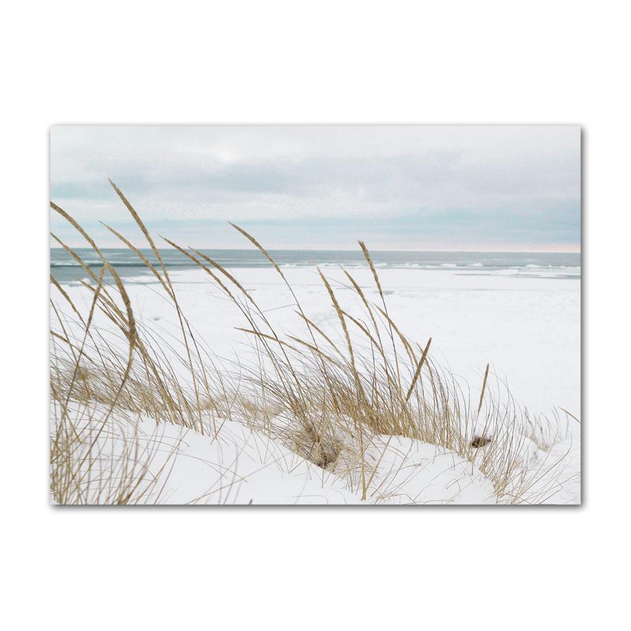 Nordic Posters Reed Dandelion Dolphin Sea Beach Flower Wall Art Canvas Painting And Prints Wall Pictures For Living Room Decor