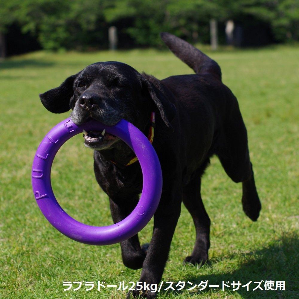 PULLER Maxi Purple Extra Large