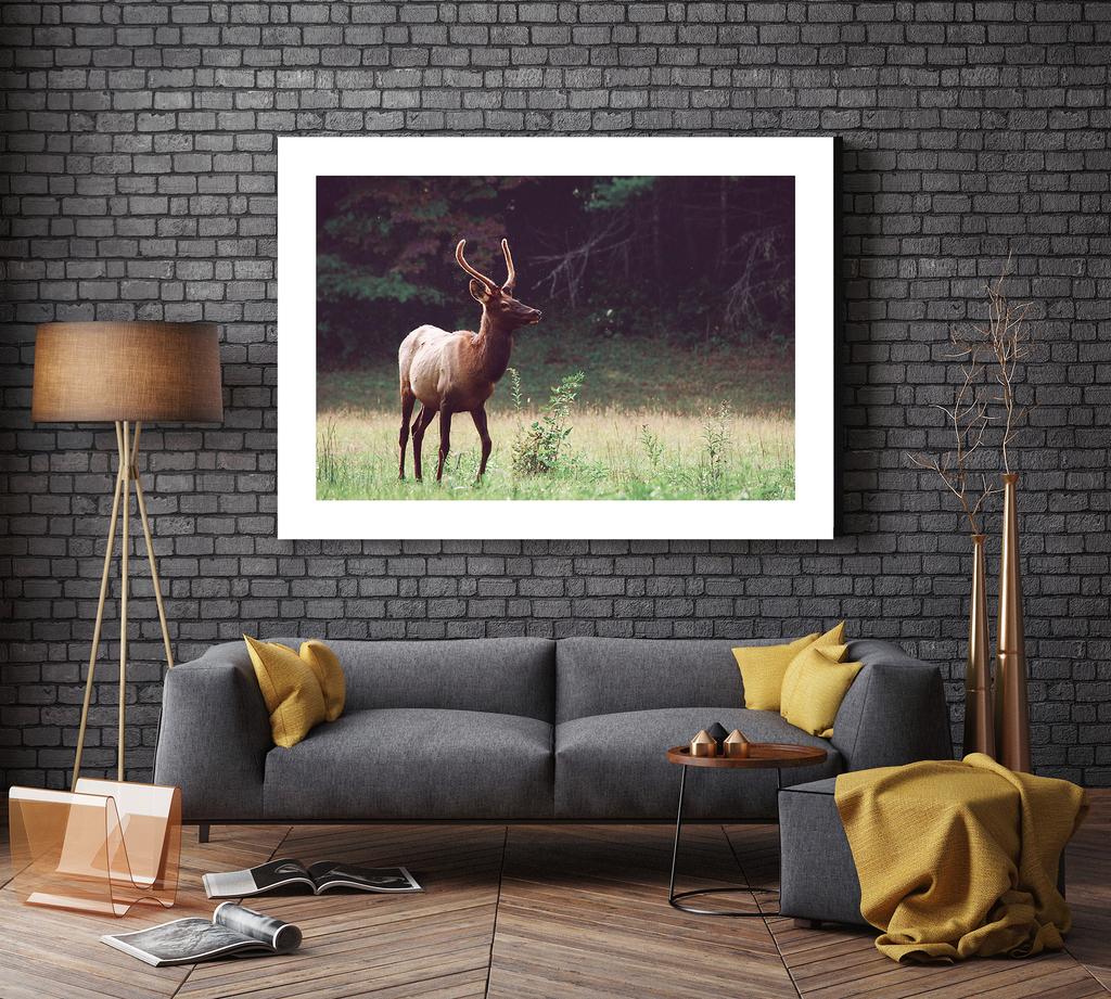 Nordic Landscape Boat Art Nature Forest Deer Animal Print Canvas Mural Poster and Edition Lake View Home Decor