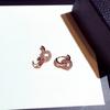 Slightly Inlaid Diamond Earrings Temperament Women's Plated Sterling Silver New Trendy Simple High-end Light Luxury Earrings