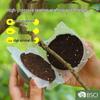 Înverzire şi amenajare – Susținere plante