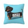 Nordic Kawaii Dachshund Cushion Cover Soft Sausage Badger Wiener Dog Pillow Case Decoration