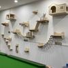 Cat Climbing Wall Type Assortment Cat Tree Wall Mounted Cat Hammock Sisal Four Steps Cat Stairs Climbing Cat Wall Hanging
