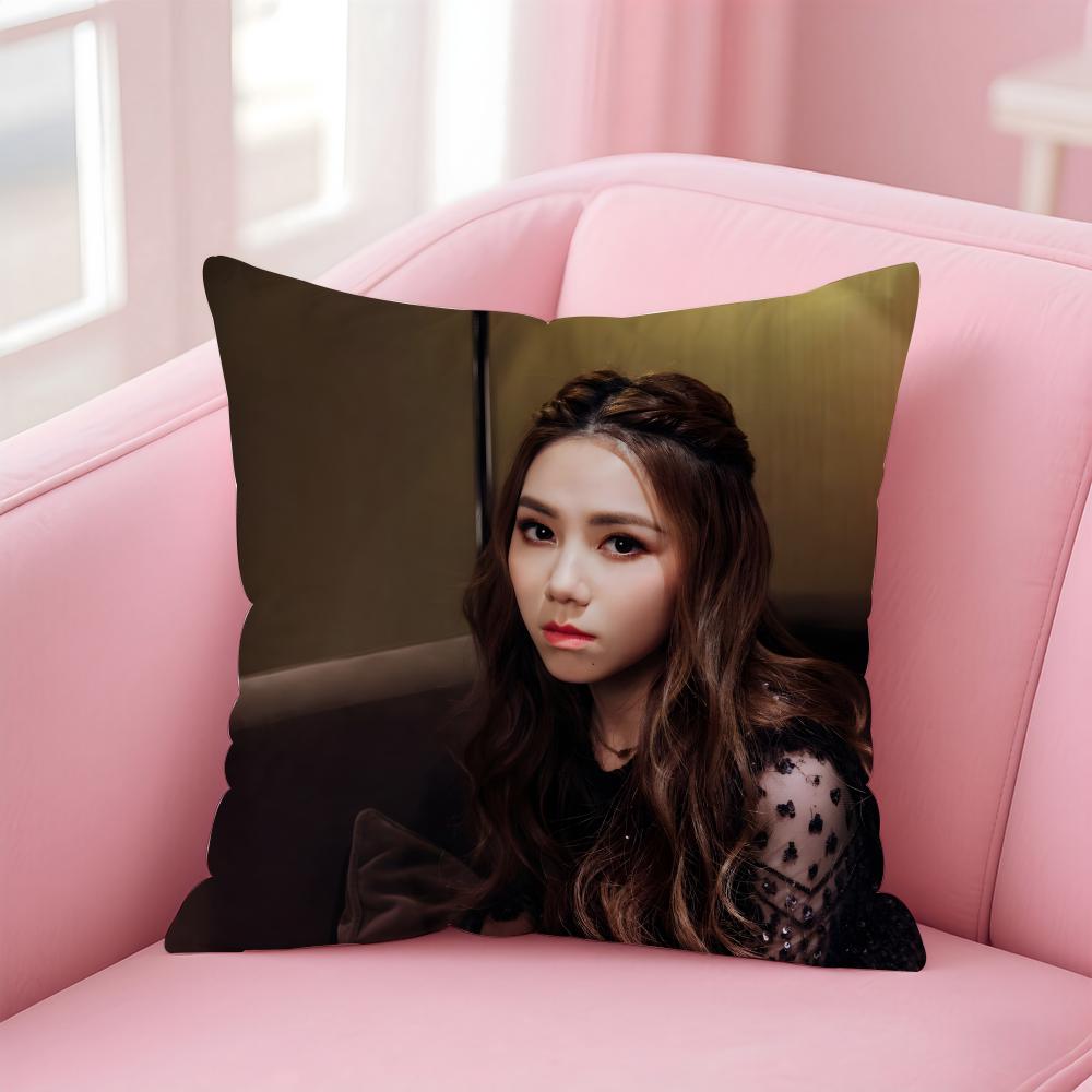 Popular fashion Chinese singer GGEM Cushion Cover Pillowcase Short Plush Invisible zipper Room Sofa Cushion Cover