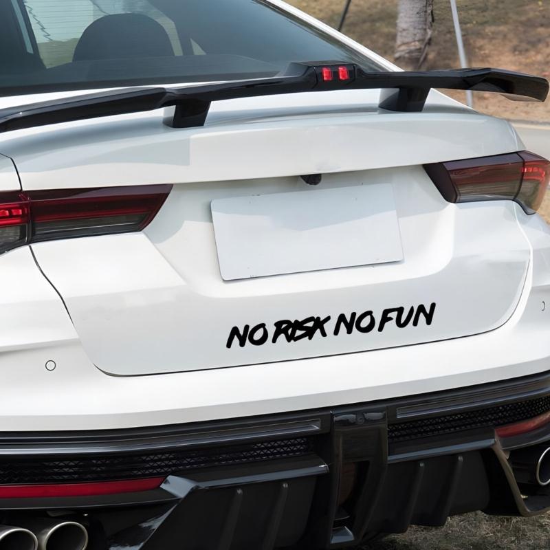 Premium Auto-Buchstaben-Aufkleber für die Außenansicht des Autos Schnelle Montage Abnehmbar Kein Risiko Kein Spaß Aufkleber