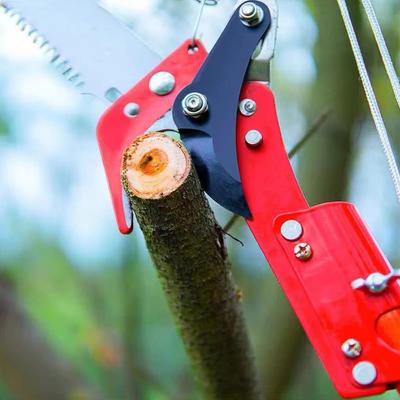 Extendable High Altitude Pruning Shears with Three Pulley Garden Scissor Saw Tree Pruner Trimmer for Cutting Branch & Fruit Pick