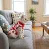 High Elasticity Cat Sterilization Suit Breathable Cat Jumpsuit Pet Anti-Licking Vest  Pet Care
