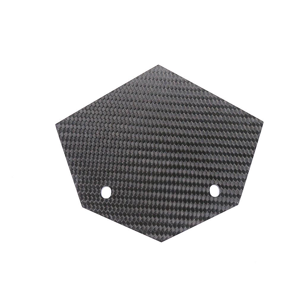BMW S1000RR Carbon Fiber Cover Plate (2019-2022) Motorcycle Accessories