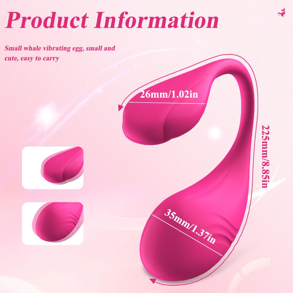 Bezdrátový Bluetooth G Spot Vibrator pro ženy Dildo APP Dálkové ovládání Wear Vibrační Vajíčko Clit Dámské kalhotky Sexuální hračky pro dospělé