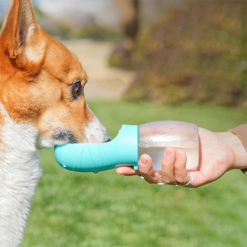 Portable Pet Water Bottle & Fountain for Outdoor Travel