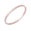 Light Luxury 4mm Roman Numeral Titanium Steel Bracelet - High-End European & American Stainless Steel Jewelry