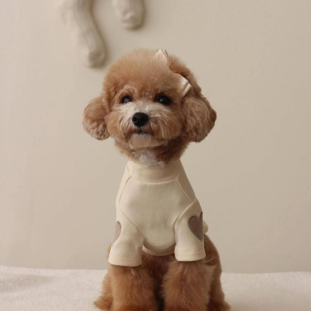 Autumn and Winter Puppy Clothes Warm Dog Vest French Love Chihuahua Outfits Yorkies Poodle Jacket Pug Teddy Coat Pet Hoodie