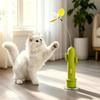 Chats – Jouets pour chats
