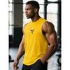 Débardeur Musculation Fitness Entraînement Été Frais Séchage Rapide Respirant Sans Manches T-shirts Homme Fitness Course Sport Débardeurs