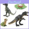 Realistic Jurassic Dinosaur Growth Cycle Model For Educational And Decorative Purposes