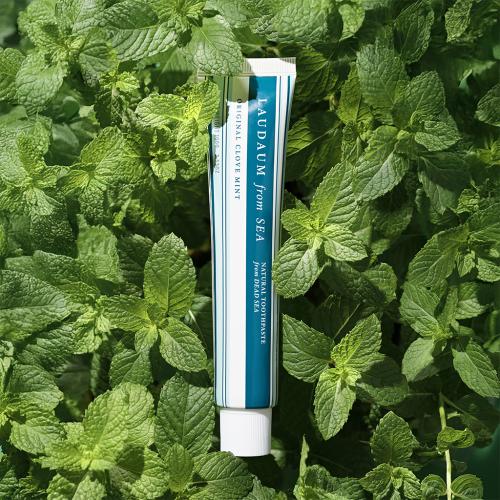 Original Club Mint Toothpaste 100g