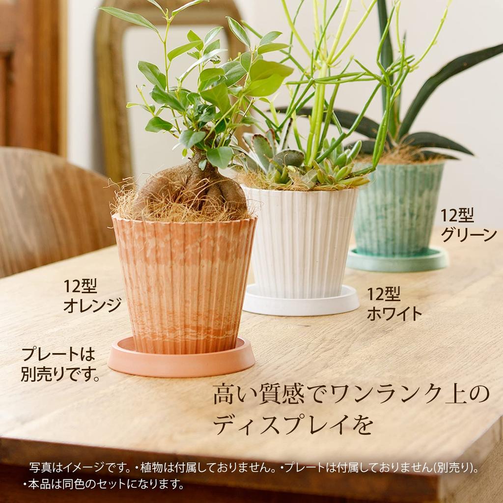 Richell Botany Stripe Pot 15 Type Set of 3 Green 003066