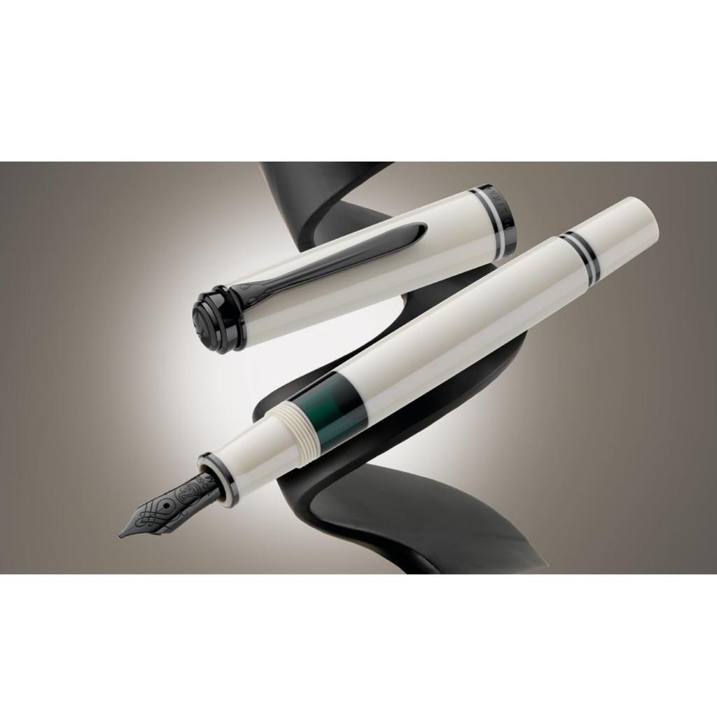 Pelikan M670 Fountain Fine Warm Limited Officially Imported Souverän Pen, Nib, Gray, Edition,