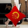 Cccp Ussr Soviet Pillow Cushion Cover Pillowcase Living Room Sofa Home Decor