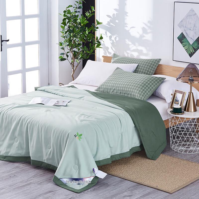 Tianqin Fashion Paris Hyaluronic Acid Infused Summer Fiber Quilt
