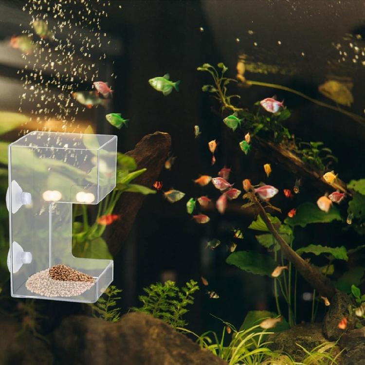 Plastic Fish Food Feeders Aquariums Feeders With Strong Suction Cups for Home And Office Aquariums