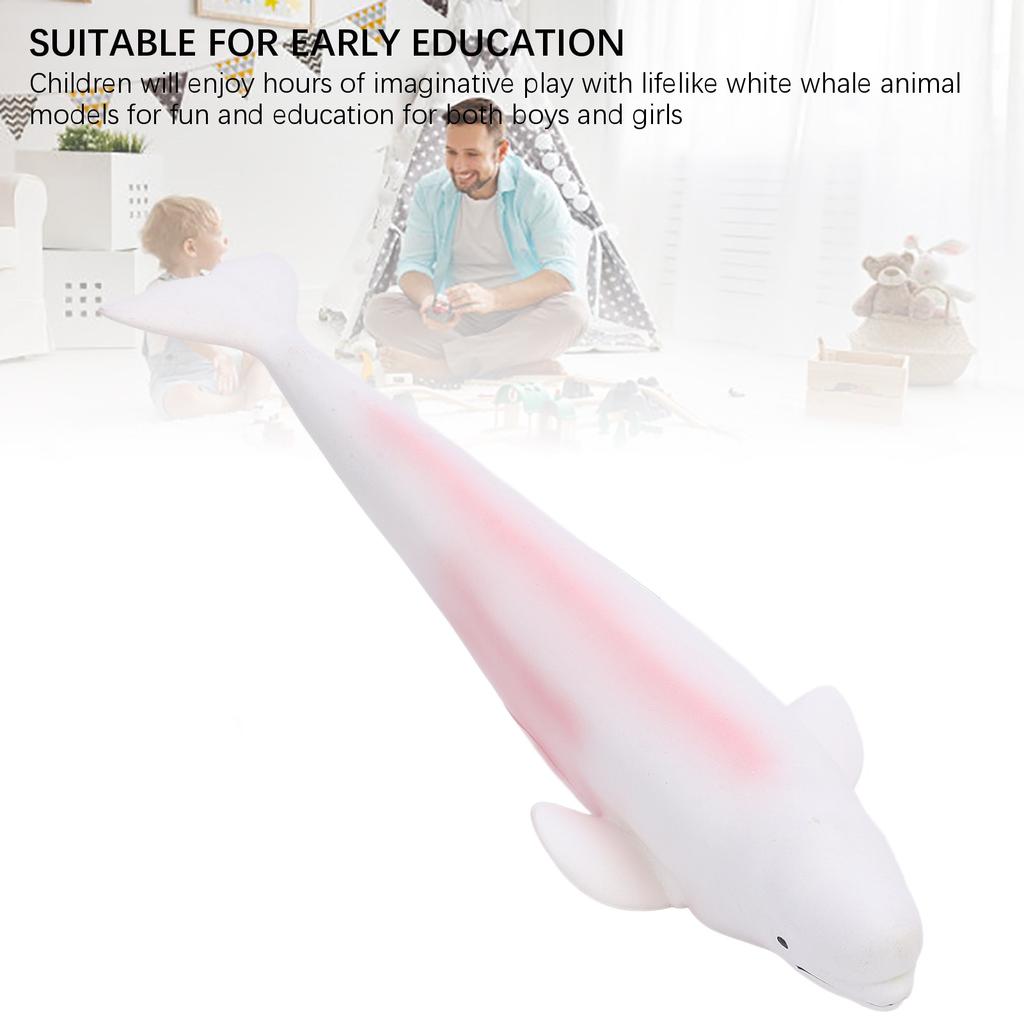 Model bílé velryby Simulační socha Zvíře z moře Figurka Hračka pro vzdělávání dětí L