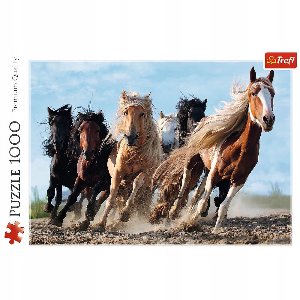 10446 "1000 - Galloping Horses" / 500px_L