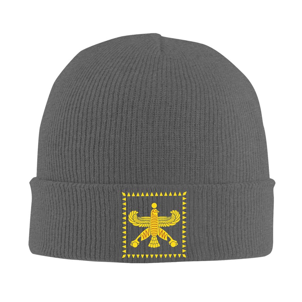 Persian Flag Achaemenid Empire Flag Beanie Hats Bonnet Hats Men Casual Outdoor Sport Skullies Beanies Autumn Thermal Elastic Cap